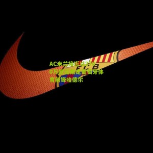 AC米兰接近以2700万欧元敲定葡萄牙体育前锋哈德尔
