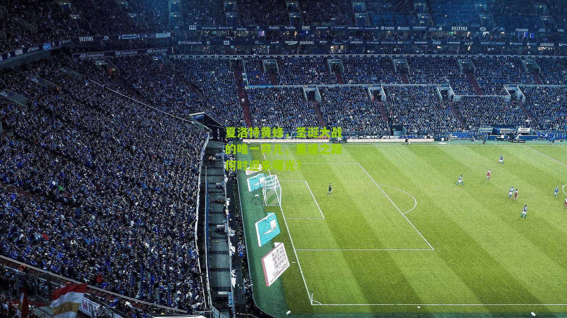 夏洛特黄蜂，圣诞大战的唯一弃儿，重建之路何时迎来曙光？